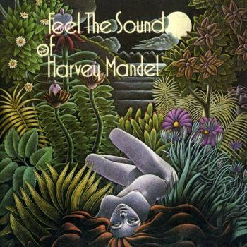 Feel The Sound Of Harvey Mandel