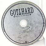 Gotthard - Need to Believe (2009)
