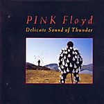 Pink Floyd - Delicate Sound of Thunder (1988)
