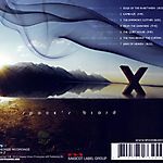 X (2010)