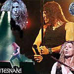 Whitesnake